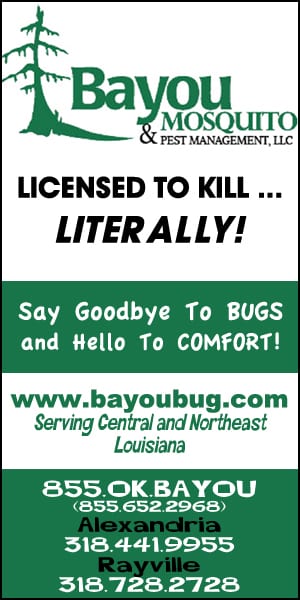 Bayou Mosquito Licensed to Kill Skyscraper 12.14.20