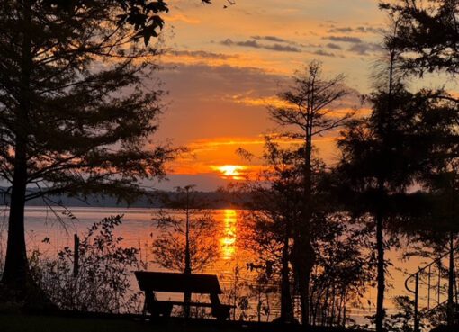 AROUND THE STATE: SEE FAR ARTIST RETREAT